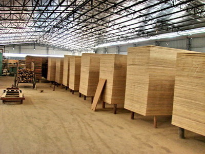 文明風 - 福建永安供電公司助洪田村致富小記 電力賦能木材加工產業振興